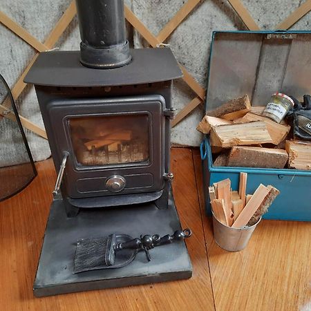 Ceridwen Glamping, Double Decker Bus And Yurts Llandysul Exterior foto